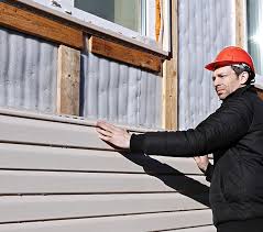 Best Storm Damage Siding Repair  in Fallon, NV